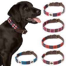 Leather Polo Dog Collar