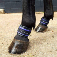 Staroak Horse Magnetic Wraps (Pair)