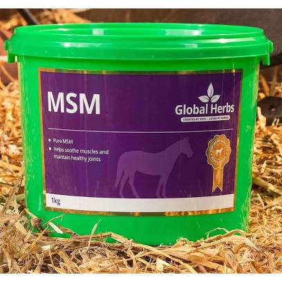 Global Herbs MSM