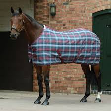 Grundy Equestrian Stable Rug