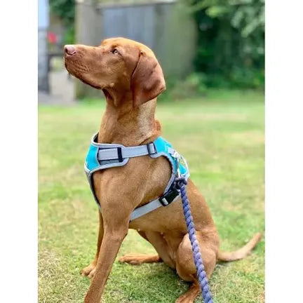 Henry Wag Travel Harness