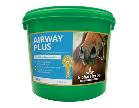Global Herbs Airway Plus 1KG